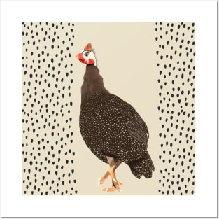 Guinea Fowl Polka Dots Posters and Art